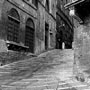 Siena Incline